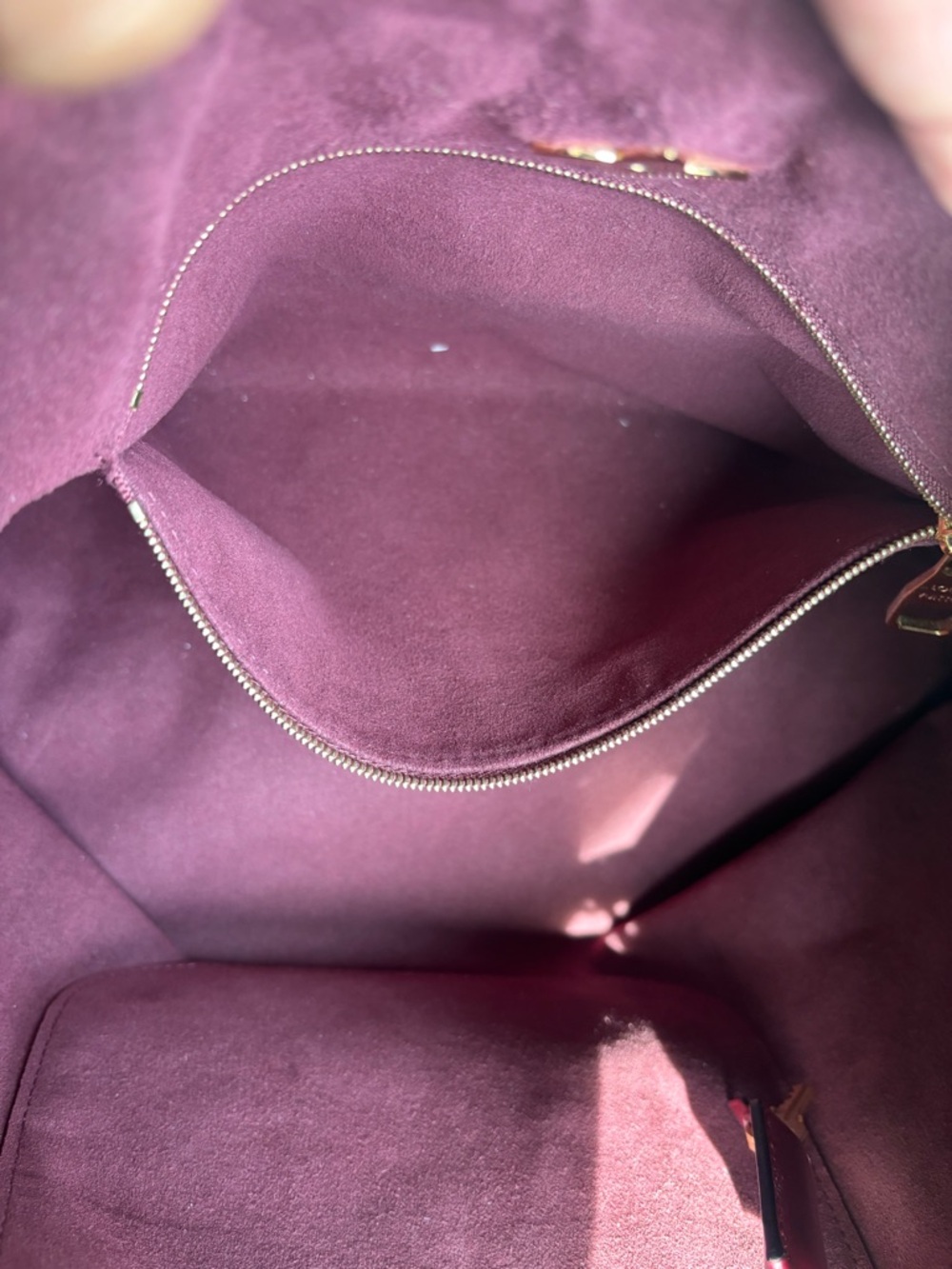 Louis Vuitton Monogram Flower Hobo with Burgundy Trim ~ Authentic - Picture 3 of 16